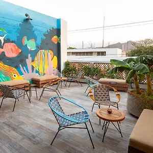 book here